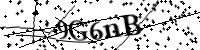 الرجاء كتابة الحروف والأرقام أدناه
