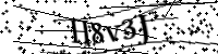 الرجاء كتابة الحروف والأرقام أدناه