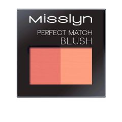 Misslyn Perfect Match Sahara Glow Blusher No.85 