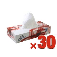 Al Saad Style 2Ply Tissues 100 Sheets x 30